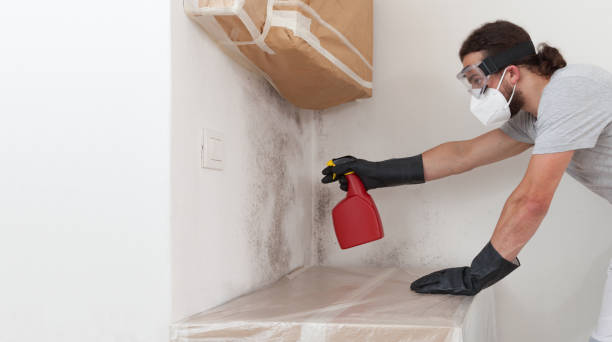 Professional Basement Mold Remediation technician working in Parker Ford, PA
