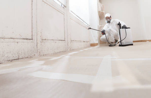 24/7 Emergency Basement Mold Remediation experts in Parker Ford, PA