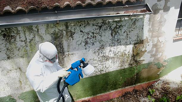 Top rated local Basement Mold Remediation specialists in Parker Ford, PA